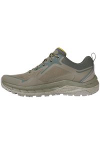 Buty trekkingowe męskie Karrimor Merlin Low. Kolor: zielony