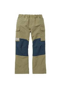 Spodnie dresowe dla dzieci Helly Hansen marka tur. Kolor: zielony. Materiał: dresówka. Sezon: lato. Sport: turystyka piesza #1