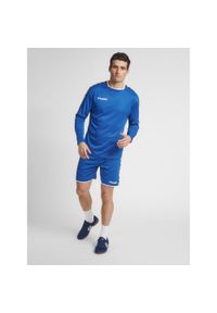 Hummel koszulka męska z długim rękawem hml Authentic Poly Jersey. Kolor: niebieski. Materiał: jersey. Długość rękawa: długi rękaw. Długość: długie