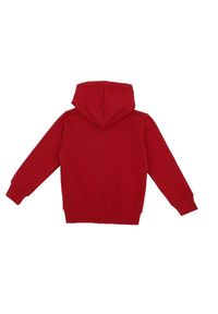 LEONE 1947 APPAREL - Dziecięca bluza z kapturem, zamkiem błyskawicznym na całej długości i logo Basic. Typ kołnierza: kaptur. Kolor: czerwony. Sport: joga i pilates
