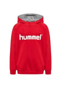 Bluza dziecięca z kapturem Hummel Cotton Logo. Typ kołnierza: kaptur. Kolor: czerwony, wielokolorowy, różowy