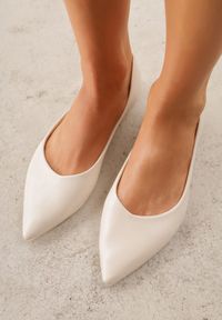 Renee - Jasnobeżowe Balerinki ze Szpiczastymi Noskami w Eleganckim Stylu Lagenaria. Okazja: na imprezę, na co dzień. Nosek buta: szpiczasty. Kolor: beżowy. Materiał: jeans, materiał. Wzór: kwiaty. Styl: elegancki #1