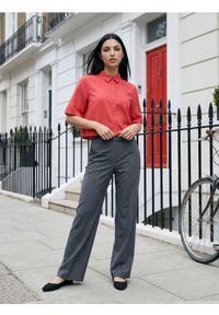 Sinsay - Eleganckie spodnie z kantem - szary. Kolor: szary. Styl: elegancki #1