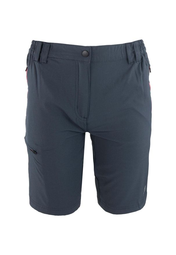 ZSPORT - Damskie Szorty Sportowe Matilda DPT - Oddychające i Elastyczne. Kolor: szary. Materiał: elastan. Długość: krótkie