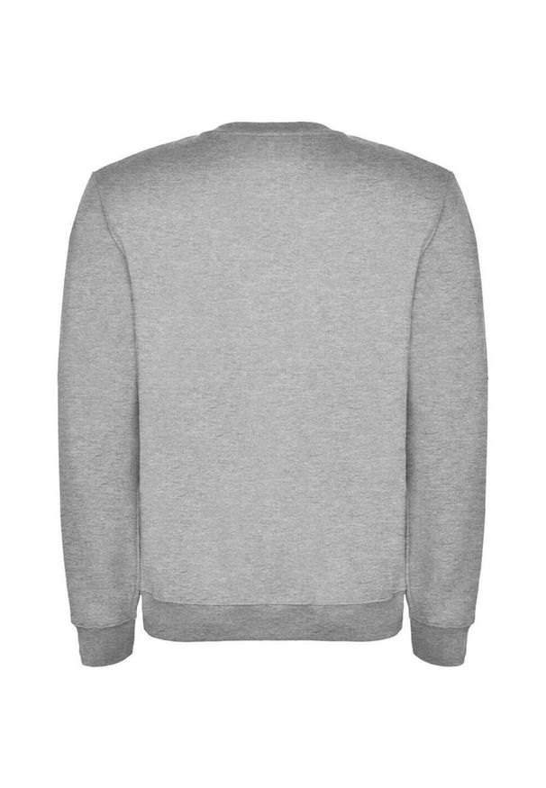 ROLY - Bluza Unisex Dla Dorosłych Clasica Z Okrągłym Dekoltem. Kolor: szary
