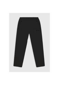 Spodnie sportowe męskie Champion Minimal Straight. Kolor: czarny. Materiał: dresówka. Długość: długie