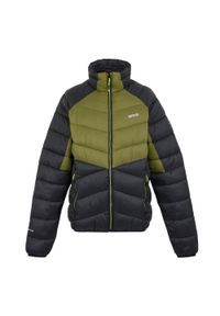 Regatta - Męska Ocieplana Kurtka Dalent. Kolor: wielokolorowy, czarny, zielony. Materiał: puch. Sport: turystyka piesza #1