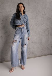 Renee - Niebieskie Bawełniane Jeansy Ballloon z Wiskozą High Waist Ozdobione Dziurami Lamma. Stan: podwyższony. Kolor: niebieski. Wzór: aplikacja. Sezon: wiosna #1