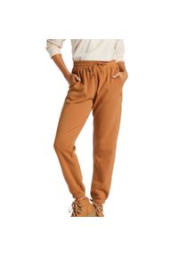 Spodnie turystyczne damskie Billabong Halifax. Kolor: brązowy. Materiał: bawełna, poliester. Sezon: lato. Sport: turystyka piesza #1