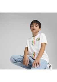 Puma - Młodzieżowa koszulka domowa Senegal 2025 PUMA White Sport Green. Kolor: zielony, biały, wielokolorowy. Sport: piłka nożna