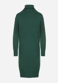 Born2be - Zielona Dzianinowa Sukienka z Bawełną o Prostym Kroju z Golfem Tesala. Okazja: na spotkanie biznesowe, do pracy. Typ kołnierza: golf. Kolor: zielony. Materiał: dzianina, bawełna. Wzór: jednolity. Typ sukienki: proste. Styl: klasyczny, biznesowy #6
