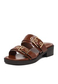Beverly Hills Polo Club Klapki CEO-HY7006-1 Brązowy. Kolor: brązowy. Materiał: materiał #9