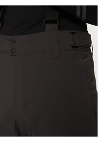 Protest Spodnie narciarskie Rowens 4718500 Szary Regular Fit. Kolor: szary. Materiał: syntetyk. Sport: narciarstwo #4