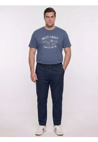 Big-Star - koszulka męska z nadrukiem niebieska reddrez 402. Okazja: na co dzień. Kolor: niebieski. Materiał: jeans, bawełna, dzianina. Wzór: nadruk. Sezon: lato. Styl: wakacyjny, casual, klasyczny #3