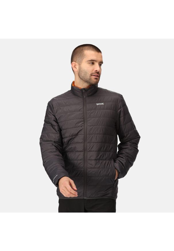 Regatta - Kurtka turystyczna przejściowa męska Hillpack pikowana. Kolor: szary, fioletowy, wielokolorowy. Materiał: poliamid. Sport: turystyka piesza