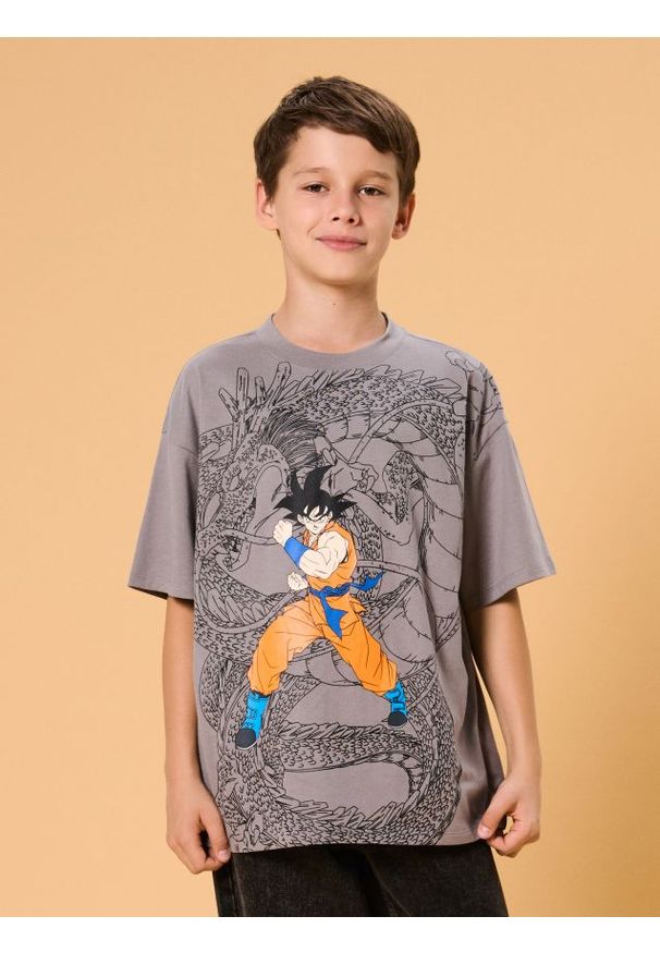 Sinsay - Koszulka Dragon Ball - szary. Kolor: szary