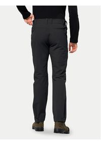 Jack Wolfskin Spodnie outdoor Activate Xt 1503755 Czarny Regular Fit. Kolor: czarny. Materiał: syntetyk. Sport: outdoor #6