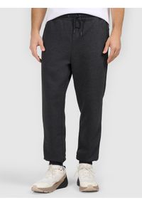 4f - 4F Spodnie dresowe joggery męskie - szare M. Kolor: szary. Materiał: dresówka. Sport: fitness #2