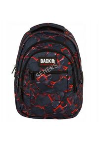 Derform - PLECAK 30X42X20 1ZAM 5KIESZ BACKUP 7 O 43 DERF