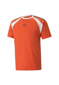 Koszulka sportowa męska Puma Teamliga. Kolor: pomarańczowy. Materiał: poliester. Długość rękawa: krótki rękaw. Długość: krótkie