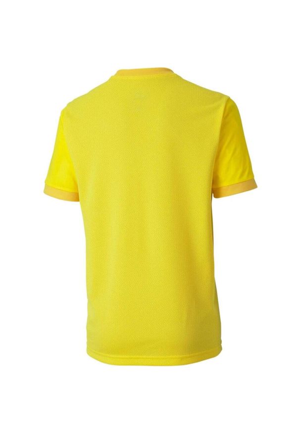 Koszulka dla dzieci Puma teamGOAL 23 Jersey. Kolor: żółty. Materiał: poliester