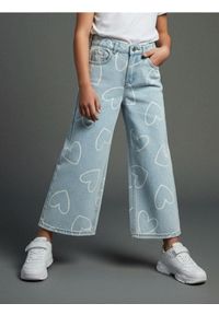 Sinsay - Jeansy wide leg z efektem sprania - szary. Kolor: szary #1