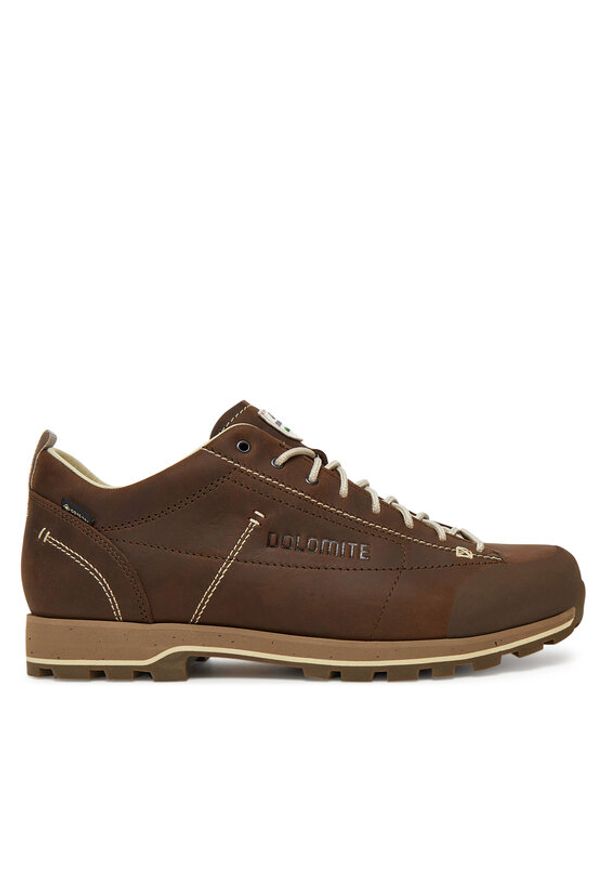 Dolomite Trekkingi 54 Low FG EVO GTX 292530-300 Brązowy. Kolor: brązowy. Materiał: skóra. Sport: turystyka piesza