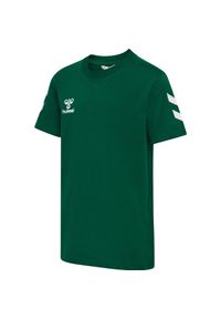 Koszulka dla dzieci Hummel Go 2.0 Chevron. Kolor: zielony #1