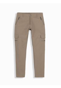 Ombre Clothing - Spodnie męskie cargo STRAIGHT LEG z kieszeniami zapinanymi na zamek – khaki V3 OM-PACG-0204 - XXL. Kolor: brązowy. Materiał: bawełna, materiał, elastan. Styl: elegancki #7
