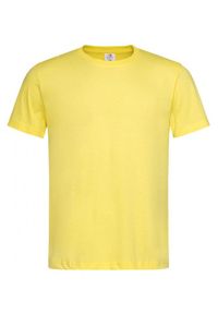 Stedman - Żółty Bawełniany T-Shirt Męski Bez Nadruku -STEDMAN- Koszulka, Krótki Rękaw, Basic, U-neck. Okazja: na co dzień. Kolor: złoty, żółty, wielokolorowy. Materiał: bawełna. Długość rękawa: krótki rękaw. Długość: krótkie. Styl: casual