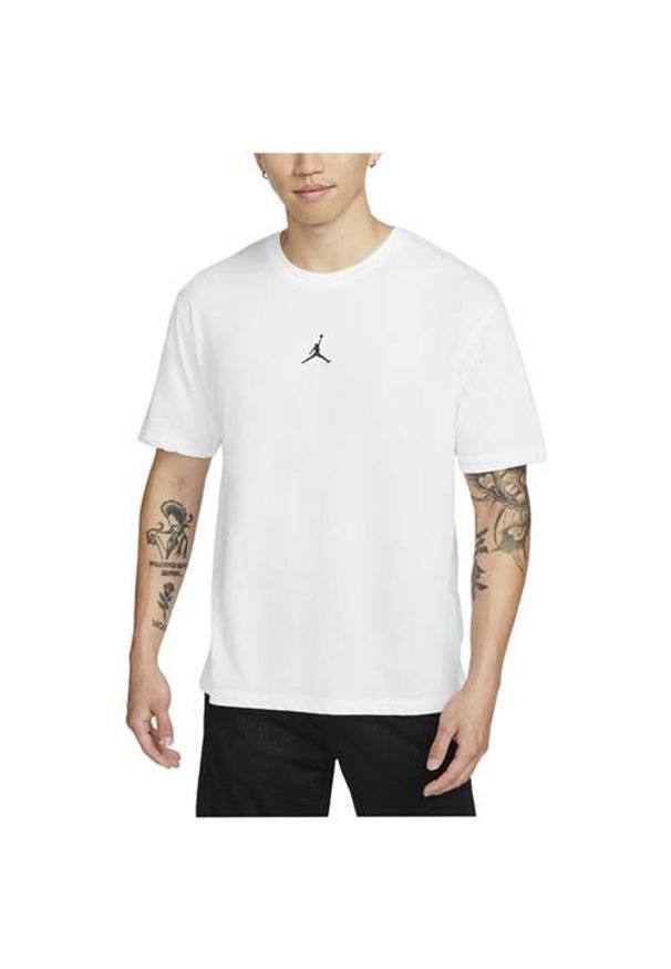 Koszulka treningowa męska Nike Jordan Sport Drifit. Kolor: wielokolorowy. Długość rękawa: krótki rękaw. Długość: krótkie