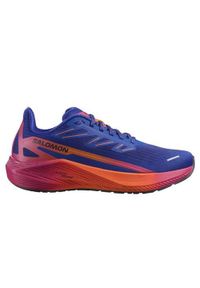 salomon - Buty do biegania męskie Salomon Aero Blaze 2 Isd. Zapięcie: sznurówki. Kolor: wielokolorowy. Materiał: materiał, tkanina, syntetyk. Szerokość cholewki: normalna