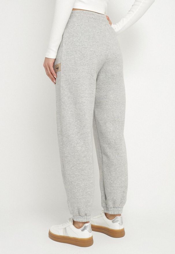 Born2be - Jasnoszare Bawełniane Spodnie Dresowe o Kroju Jogger Falorwena. Okazja: na co dzień. Kolor: szary. Materiał: dresówka, bawełna. Styl: klasyczny, casual