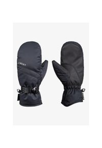 Roxy - Rękawice narciarskie snowboardowe ROXY damskie jednopalczaste wodoodporne. Kolor: czarny. Technologia: Gore-Tex. Sezon: zima. Sport: narciarstwo, snowboard #1