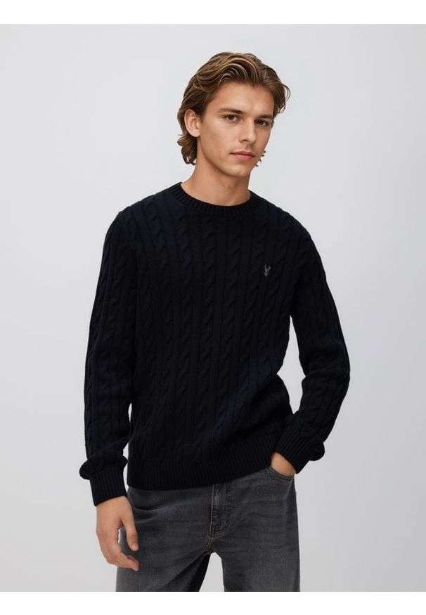 Reserved - Sweter z warkoczowym splotem - czarny. Kolor: czarny. Materiał: dzianina, bawełna. Wzór: ze splotem