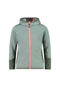 Dziewczęca bluza dresowa CMP. Kolor: niebieski, wielokolorowy, zielony. Materiał: dresówka #1
