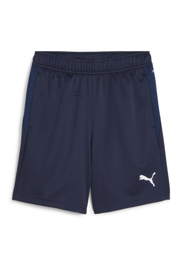 Szorty dla dzieci Puma TeamGOAL. Kolor: niebieski. Styl: sportowy