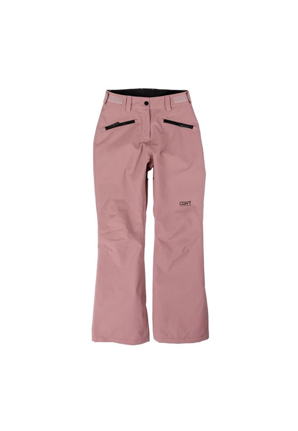 Spodnie narciarskie damskie Colourwear Cork. Kolor: różowy. Sezon: zima. Sport: narciarstwo