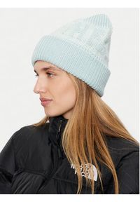 The North Face Czapka Retro Cabin Beanie NF0A88QW9BO Zielony. Kolor: zielony. Materiał: materiał. Styl: retro