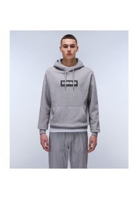 Bluza z kapturem Napapijri B-Box. Typ kołnierza: kaptur. Kolor: szary #2
