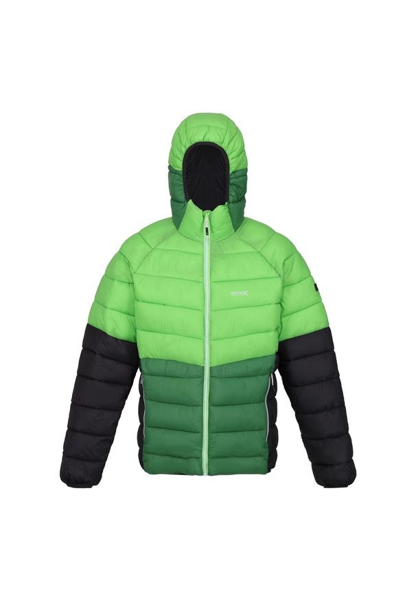 Regatta - Męska Kurtka Harrock II Baffled Padded Jacket. Kolor: zielony