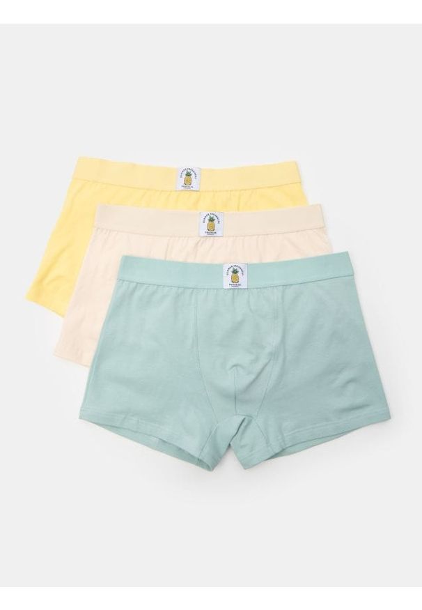 Sinsay - Bokserki Classic z ozdobną owocową naszywką 3 pack - wielobarwny. Wzór: aplikacja