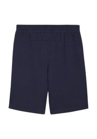 Puma - Shorty Męskie Team Goal Casuals. Kolor: niebieski. Sport: turystyka piesza