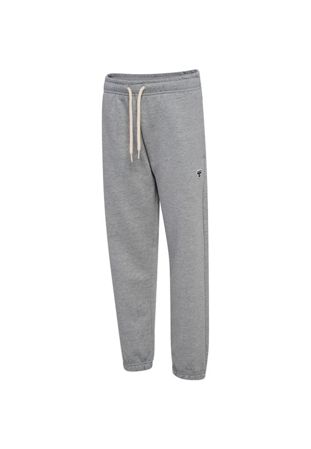 Spodnie dziecięce Hummel Bee. Kolor: szary