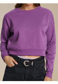 Sinsay - Gładka bluza crewneck - fioletowy. Kolor: fioletowy. Wzór: gładki