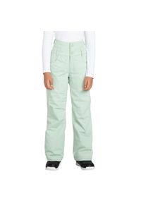Spodnie narciarskie dla dzieci Roxy Diversion. Kolor: zielony. Materiał: poliester. Sezon: zima. Sport: narciarstwo #1
