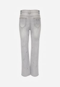 Renee - Jasnoszare Proste Jeansy z Bawełną High Waist Ozdobione Przetarciami Vimareas. Stan: podwyższony. Kolor: szary. Wzór: aplikacja #2