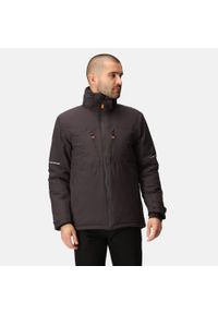 Regatta - Kurtka robocza ocieplana męska X-Pro Marauder. Kolor: czarny. Sezon: zima. Sport: turystyka piesza #1