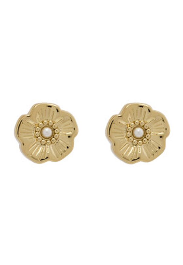 Coach Kolczyki 37527562 Złoty. Materiał: metalowe. Kolor: złoty