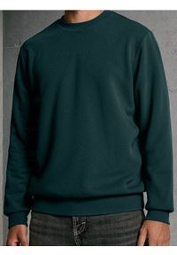 Sinsay - Bluza z długim rękawem - zielony. Kolor: zielony. Długość rękawa: długi rękaw. Długość: długie